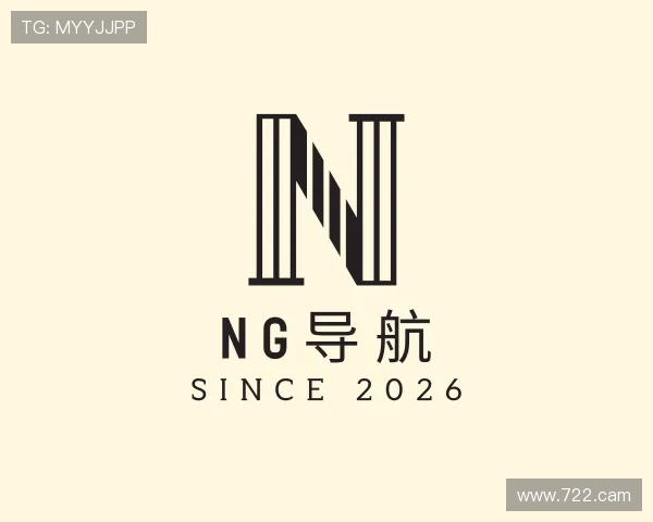 认识ng导航